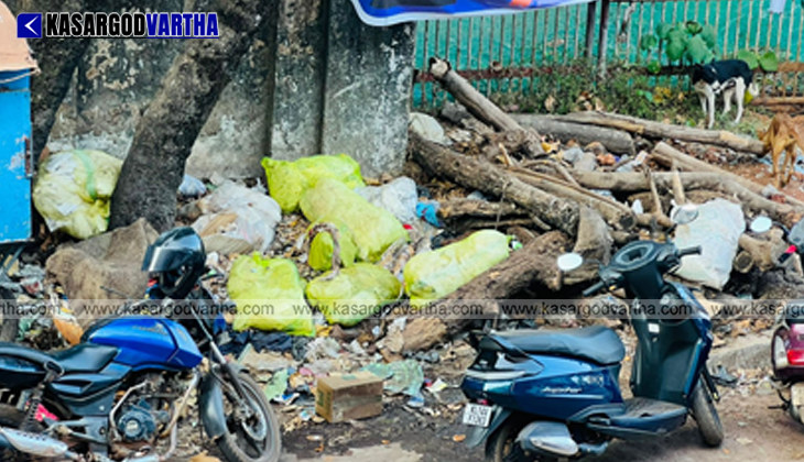 Piles of cut trees and plastic waste blocking the roadside and drainage on School Road in Kumbla, March 2026.