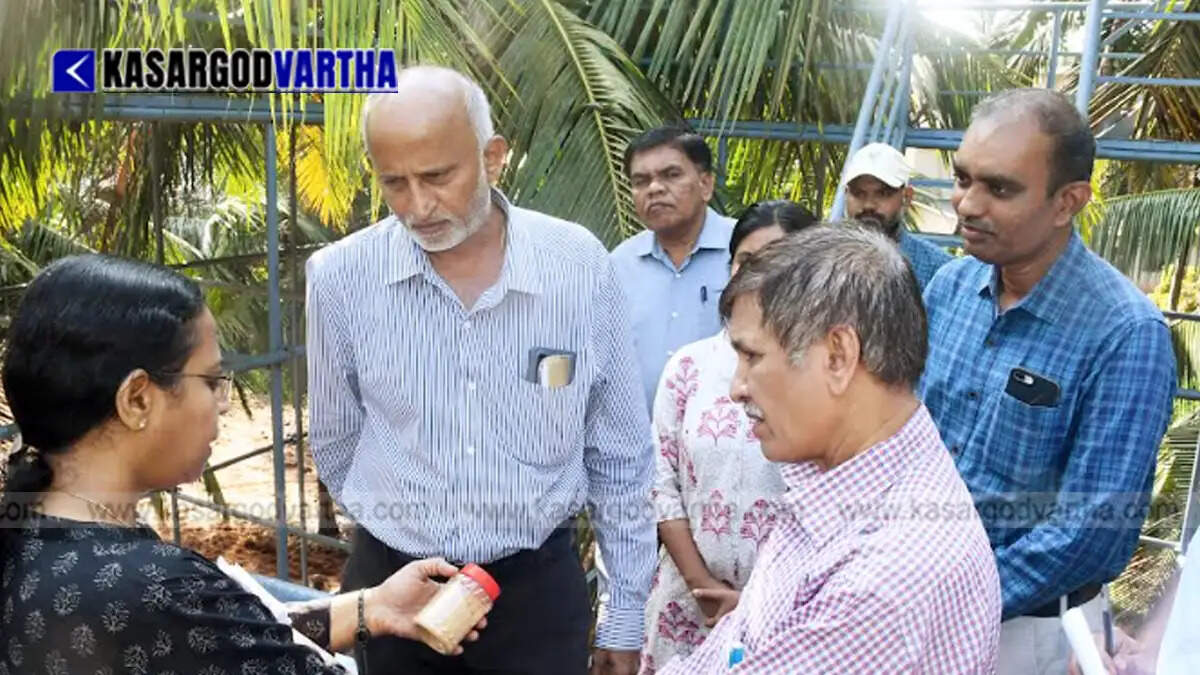 Representational image reflecting CDB CEO Deepa D Nair visiting ICAR-CPCRI in Kasaragod