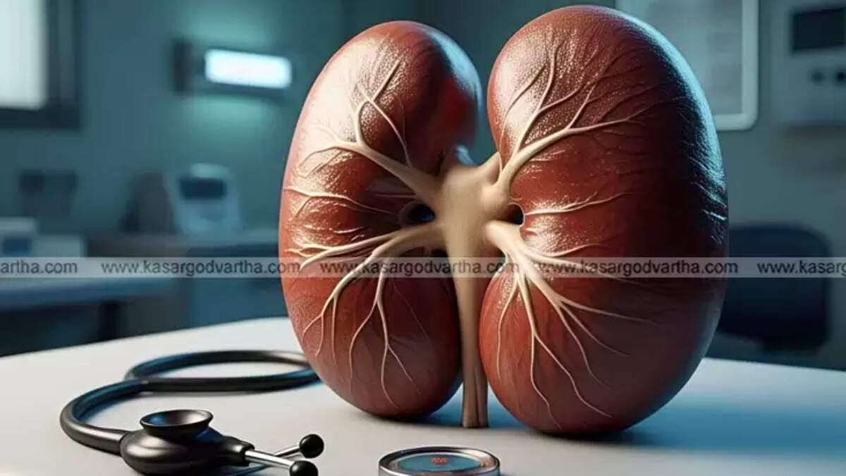 Scientist with 5 Kidneys After Rare Surgery
