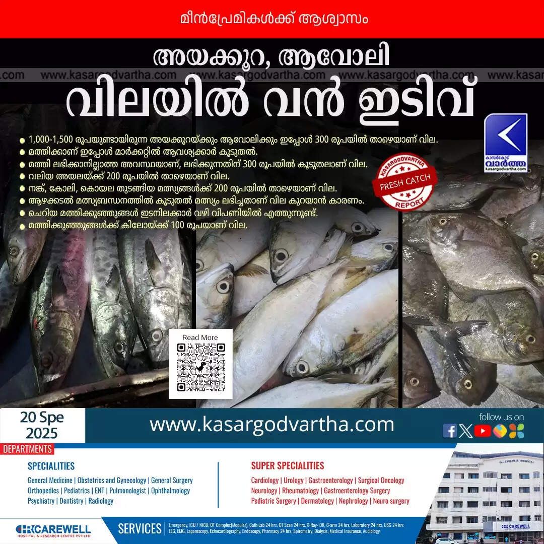 fish prices drop kerala ayakoora avooli cheap