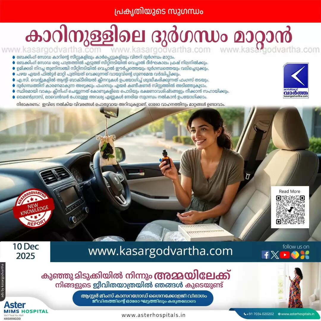 taxi method natural car odor elimination