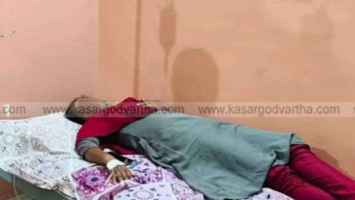 Anganwadi Teacher and BLO N Sreeja Collapses During SIR Duty in Kasaragod, Hospitalized Amid Protests