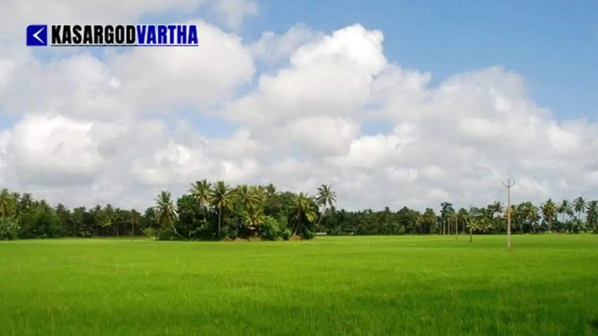 Kuttanad recommended for UNESCO heritage list for below-sea-level farming; set to become India's second site in this category.