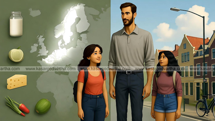 Image of tall Dutch people cycling