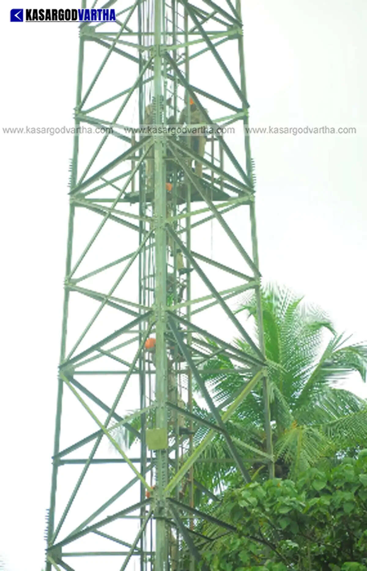 Fire force rescues 74-year-old man who threatened suicide atop mobile tower with petrol in Badiyadka