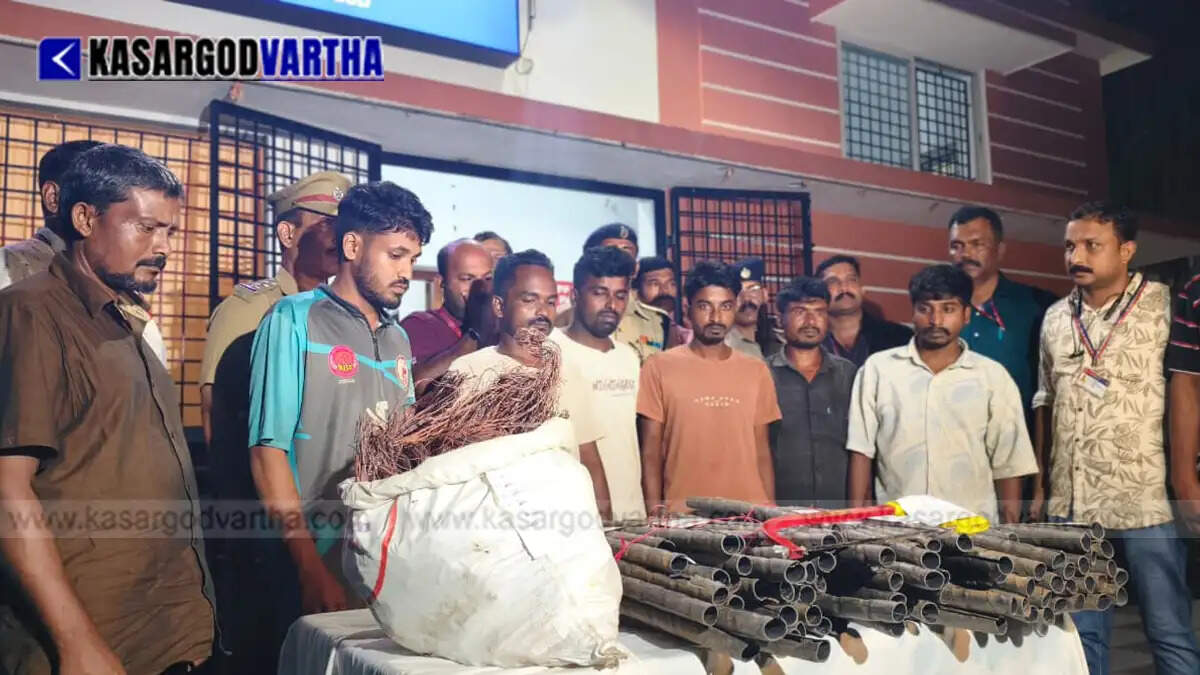 RPF arrests seven-member gang for stealing railway signal cables in Kasaragod