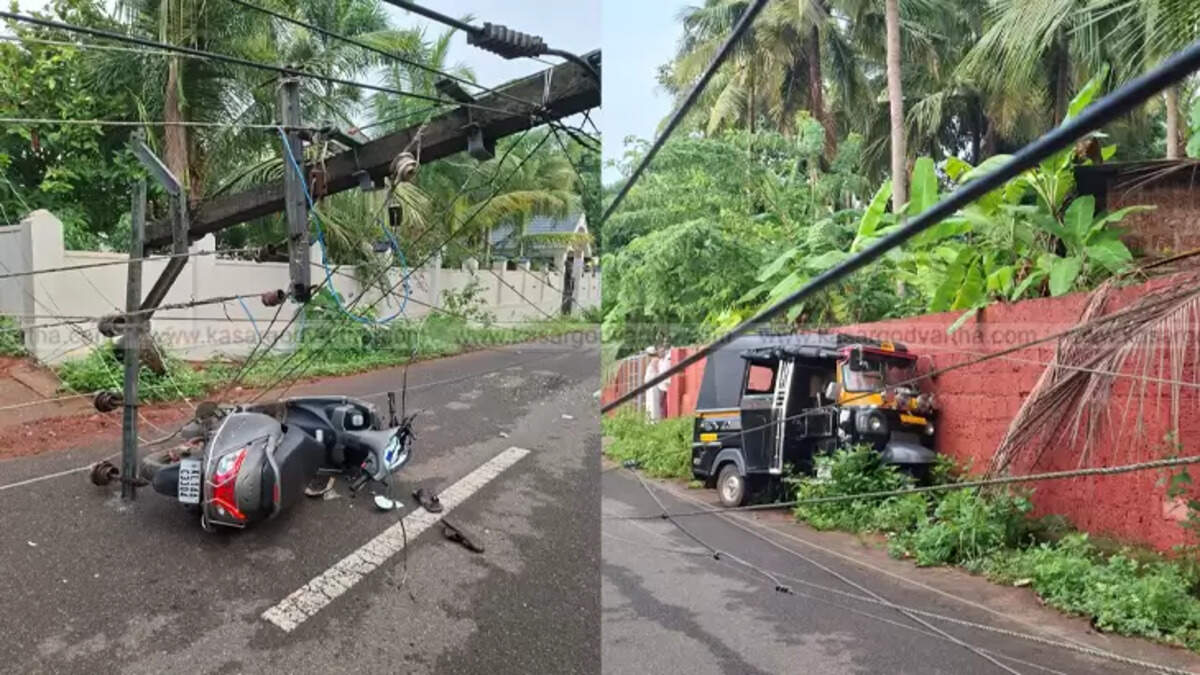 Damaged electric poles and fallen coconut tree at Chembarika School road.