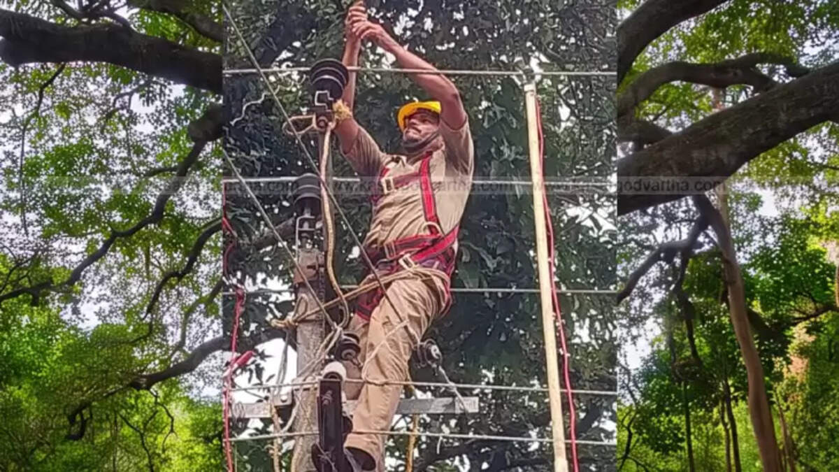 Broken electricity lines and fallen trees due to heavy monsoon rain in Kerala.