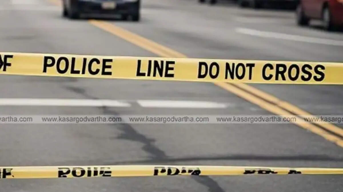Fatal Road Accident in Karnataka: Soldier and Ambulance Driver Tragically Died