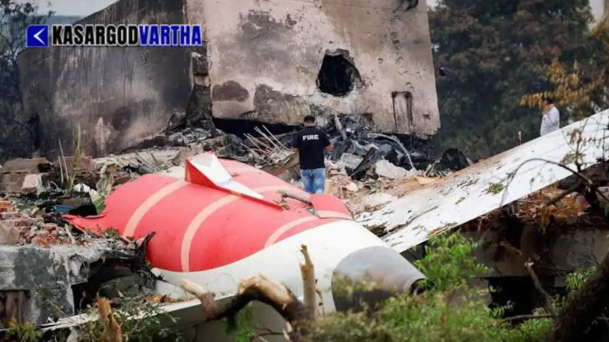 Ahmedabad Air India crash: Pilots' federation challenges AAIB preliminary report and demands simulator test.