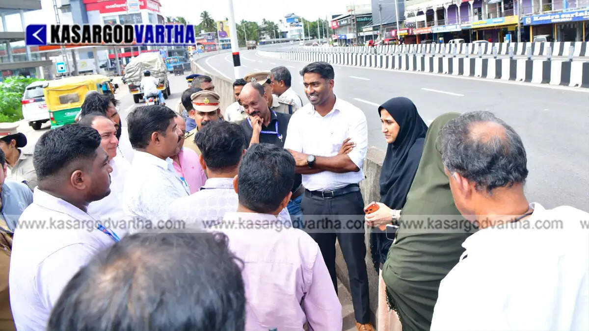 District Collector Arjun Pandyan inspecting the Nullippadi site.