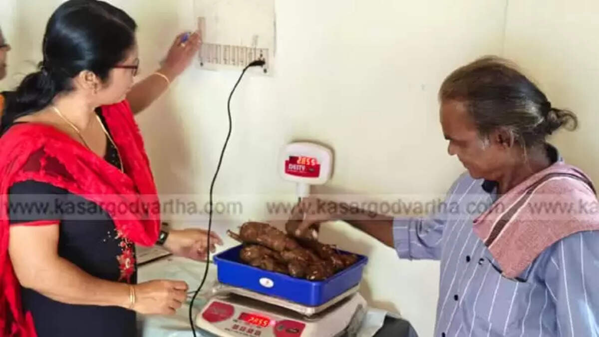 Krishi Bhavan Officials Purchase Entire 15 Kg Yam Stock from Farmer Thampan After Merchants Refuse Fair Price