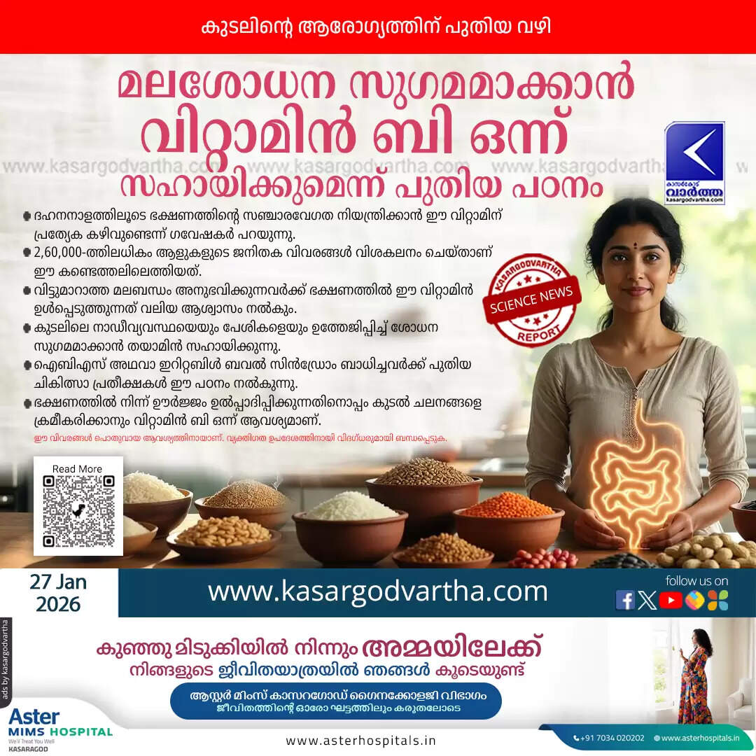 vitamin b1 thiamine prevents constipation gut health study