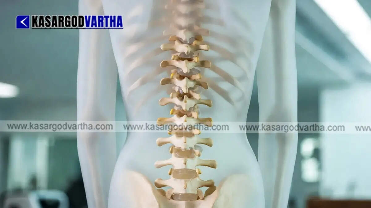Lumbar Spondylolisthesis: Understanding Causes, Symptoms, and Treatment Options