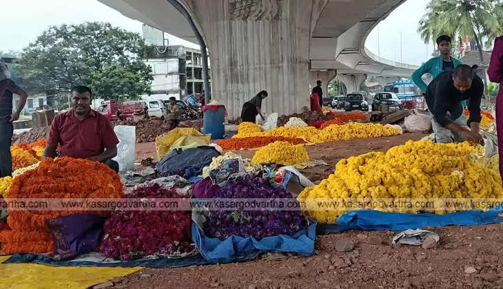 A large quantity of flowers arranged for sale in Kasargod for Onam.