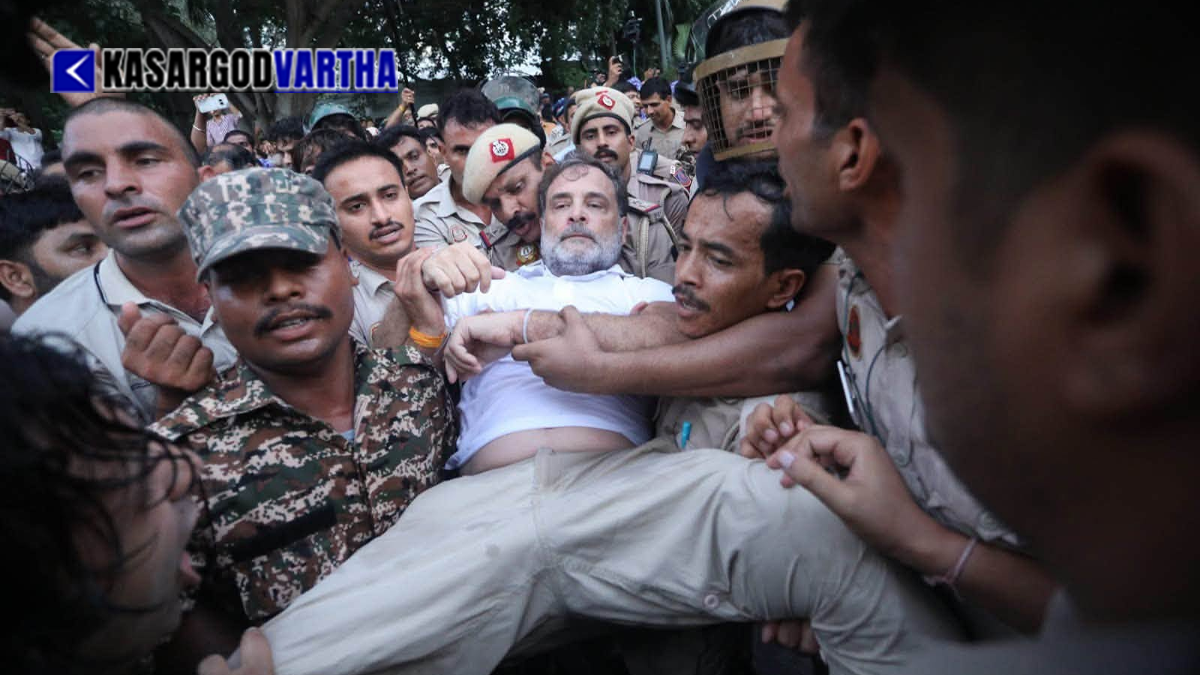  Conceptual image of protest crackdown in Delhi
