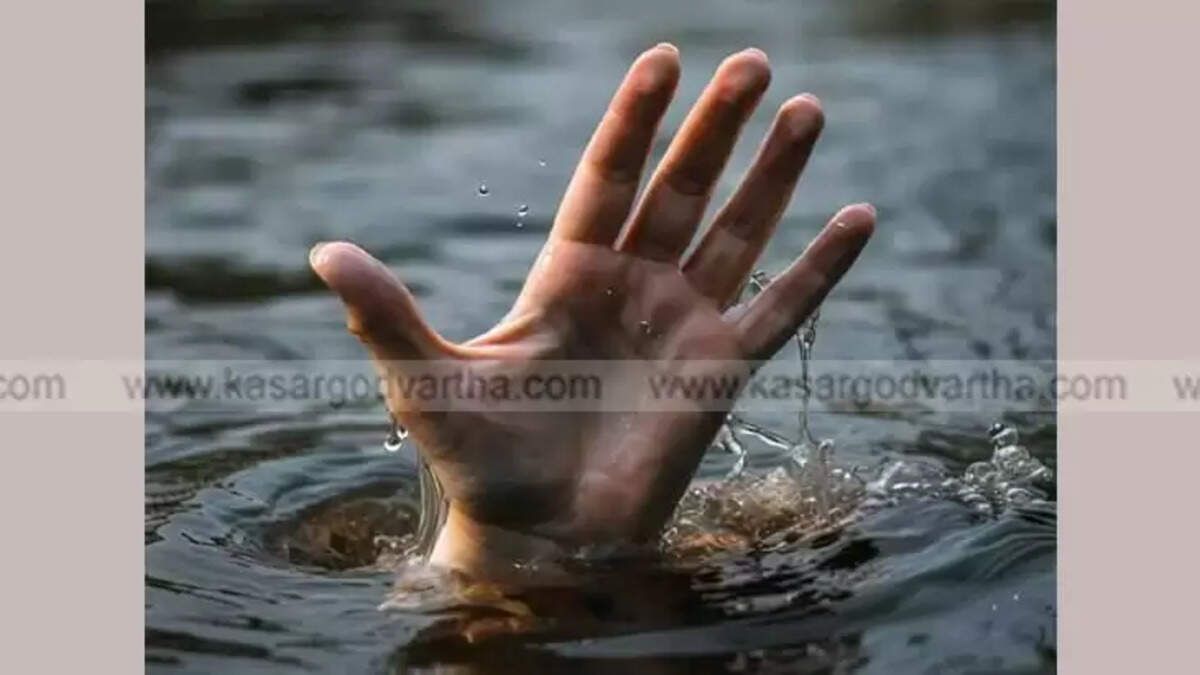 Image Representing Malappuram Native Intern Dies After Drowning in Chennai Quarry Pond