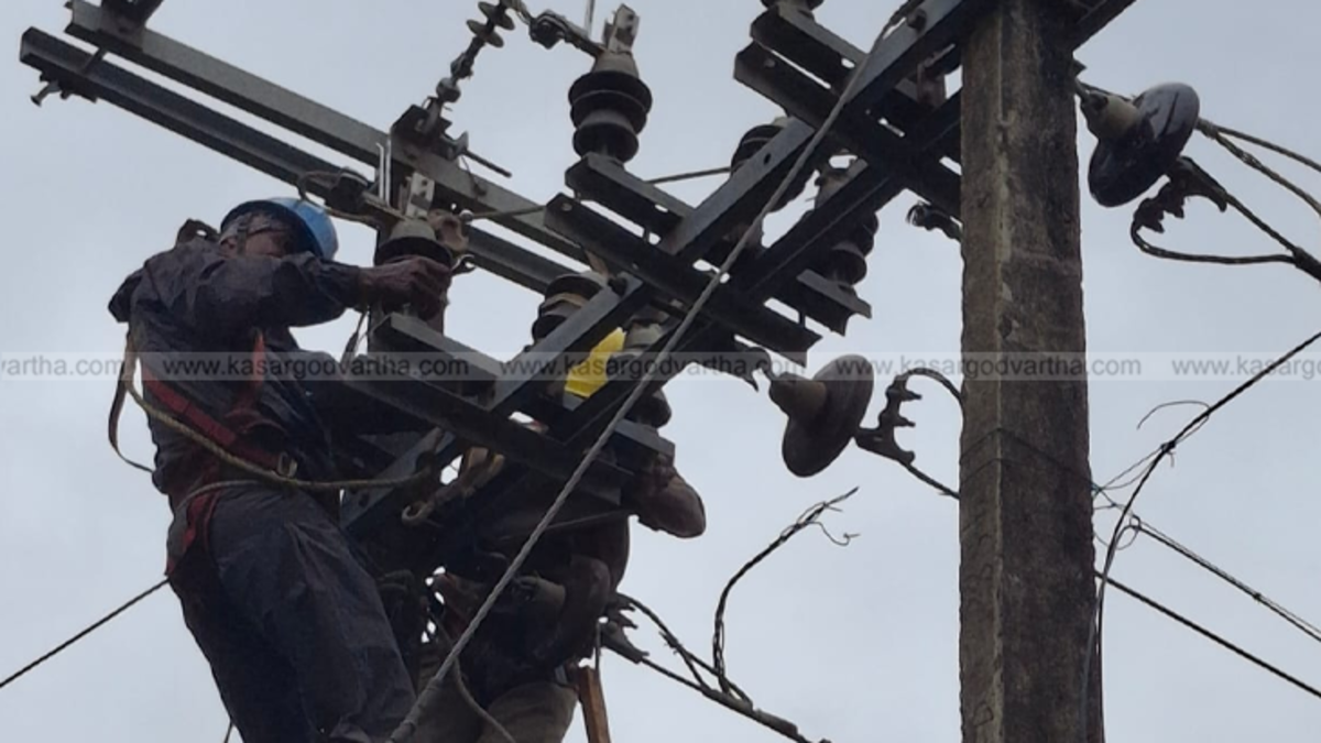kerala_electricity_line.webp Photo1 Alt Text: KSEB battery energy storage system model.