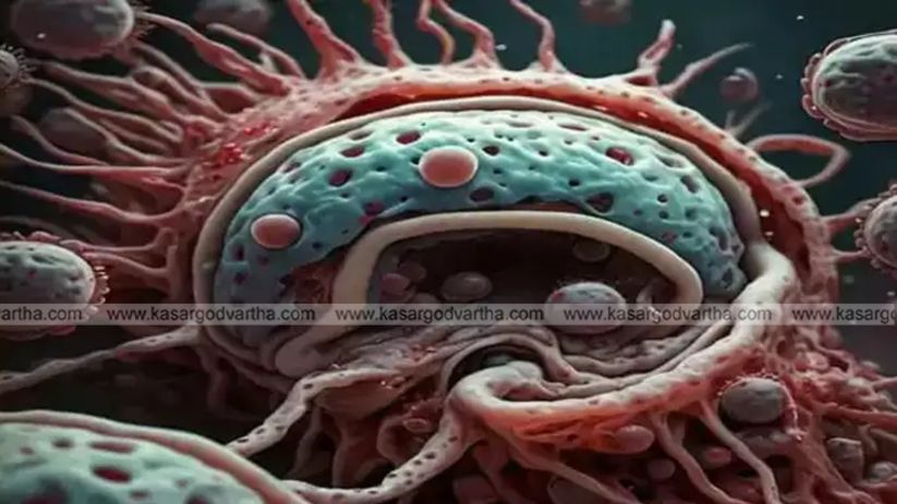  Health alert sign in Kerala about brain fever