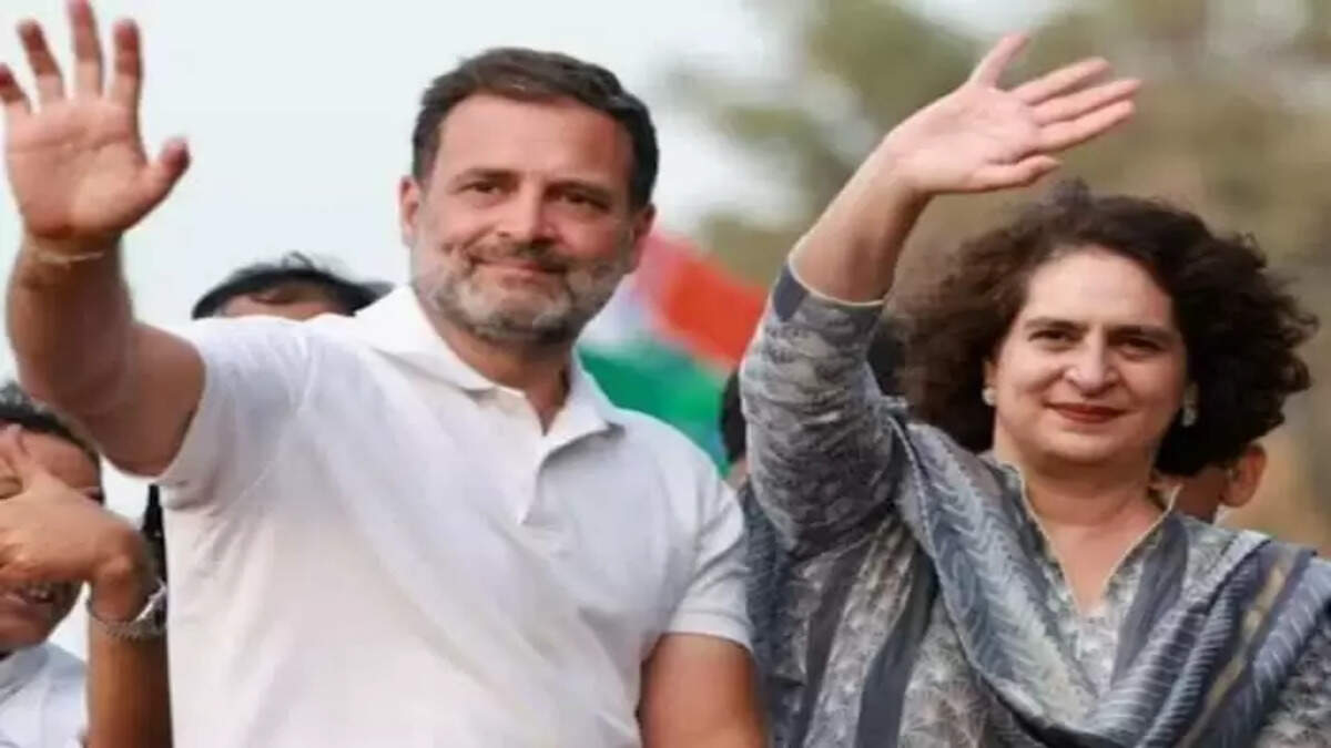 Wayanad again into lok sabha election excitement,&nbsp;Contest, Vacating, Seat, Kerala, News, Politics