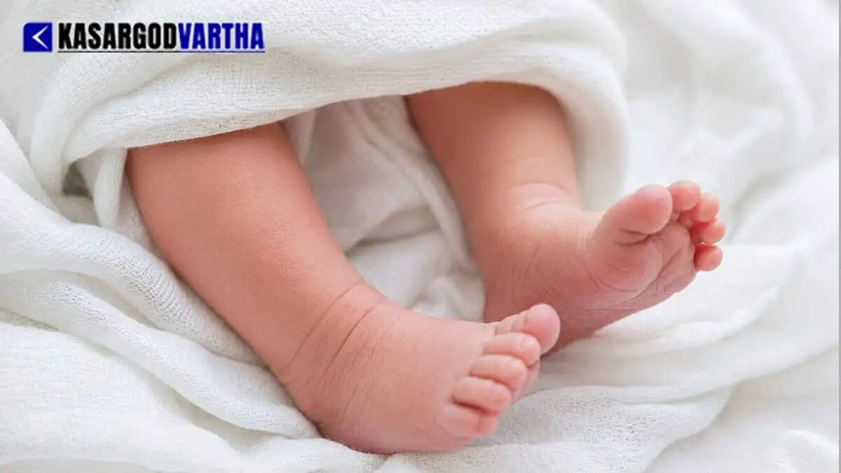  Image Representing 56-day-old twin baby boy dies after allegedly choking on breast milk in Palakkad