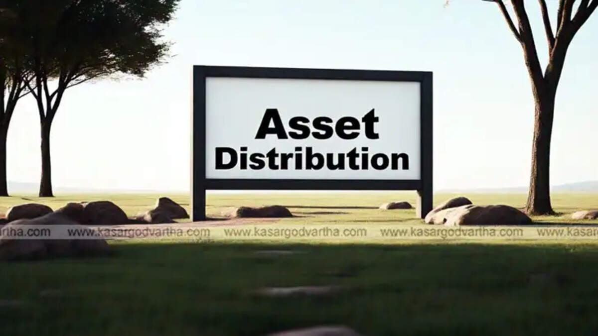  Legal property distribution