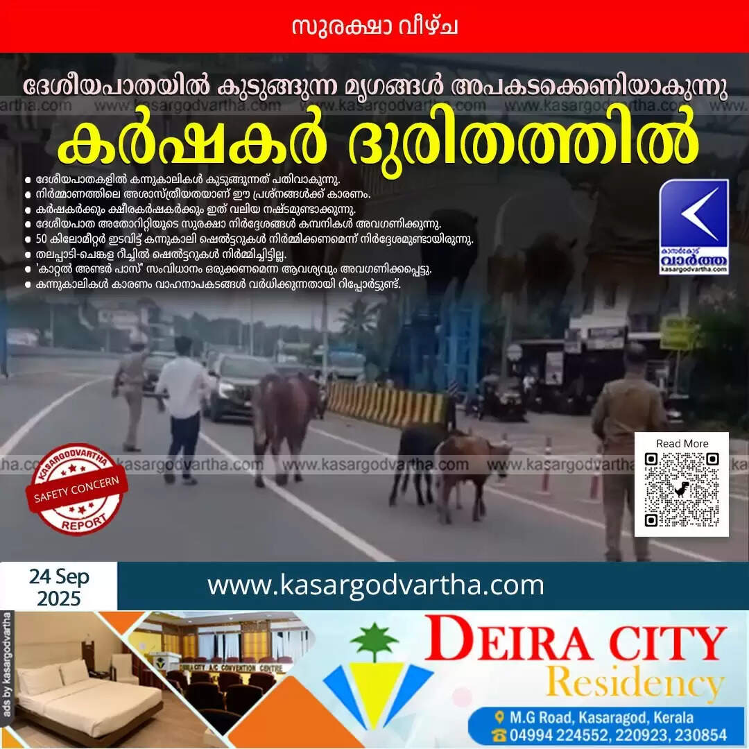 Representational image of cattle stranded on a national highway.