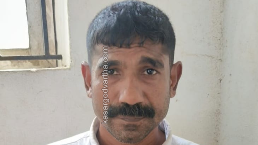 A photo representing the judicial process with a gavel.