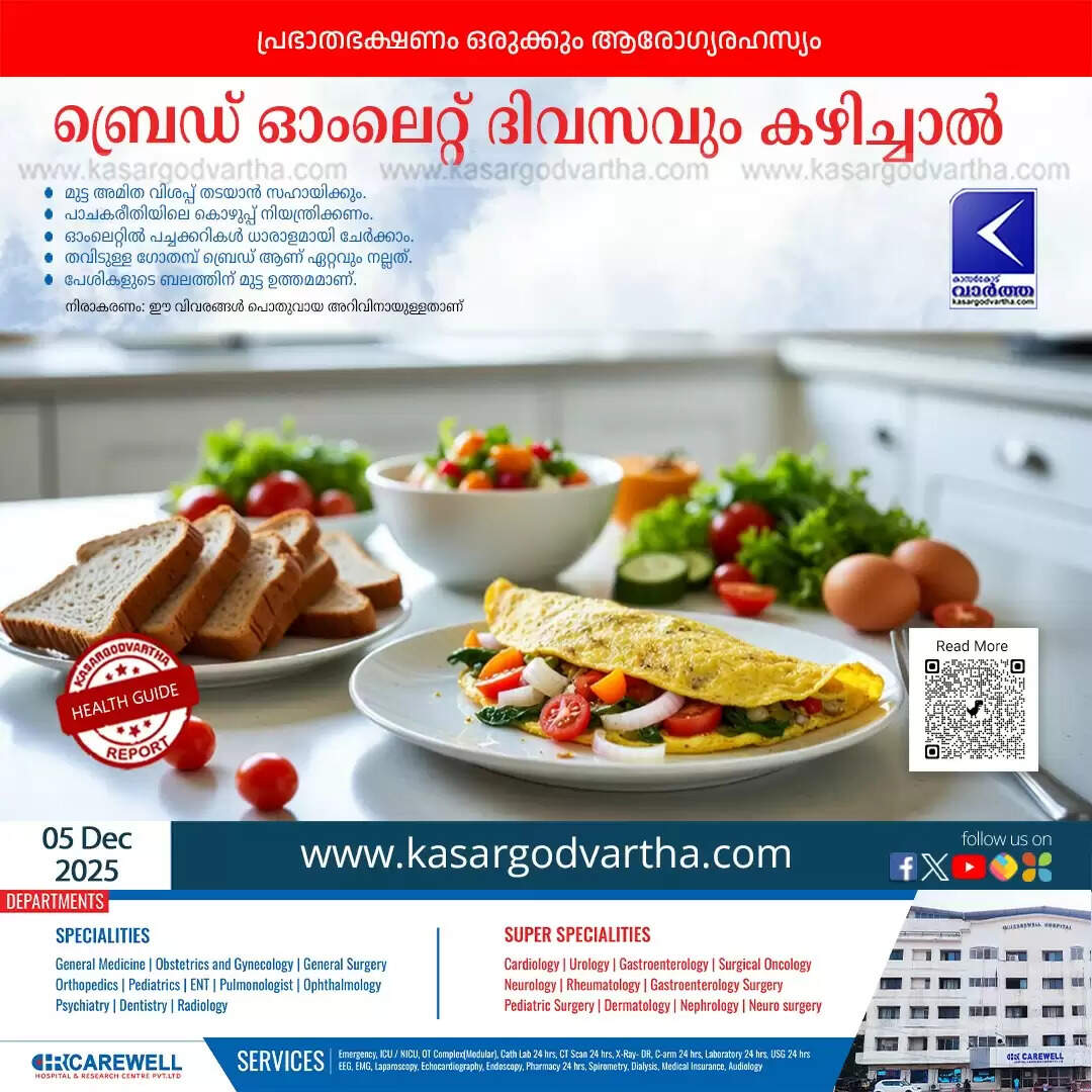 bread omelette daily consumption expert tips for a healthy