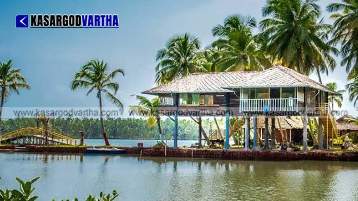 Vigilance report on illegal backwater encroachment and CRZ violations in Padanna remains pending at Directorate without action.