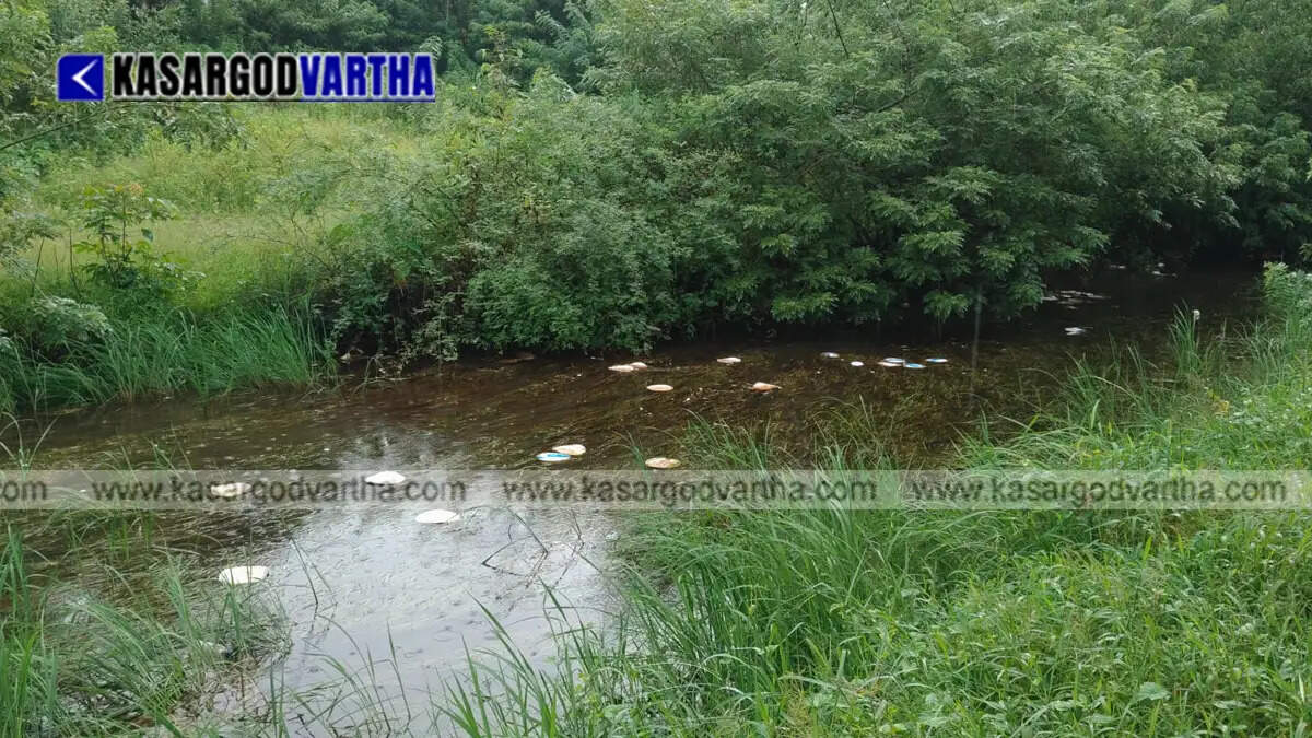 Representational image of illegal waste dumping and health department inspection in Bekal