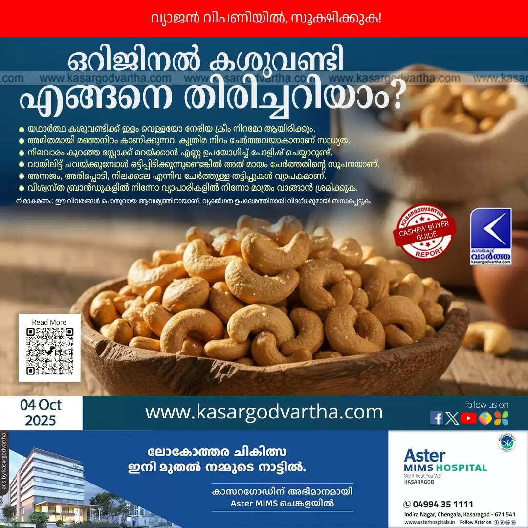 Close up of pure and fake cashew nuts