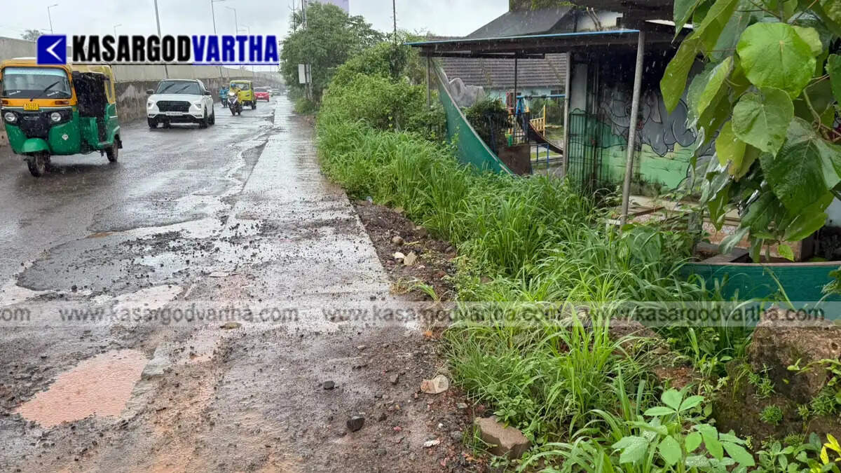 Representational image of Cherkala Government Higher Secondary School and national highway construction