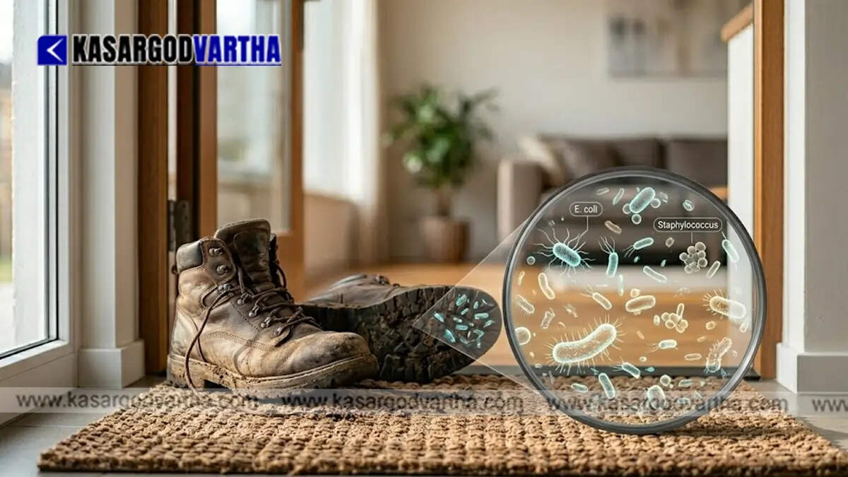 Conceptual image showing bacteria multiplying from the soles of outdoor shoes on a living room carpet