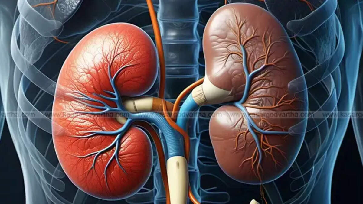 Kidney Disease Awareness, Health Checkups