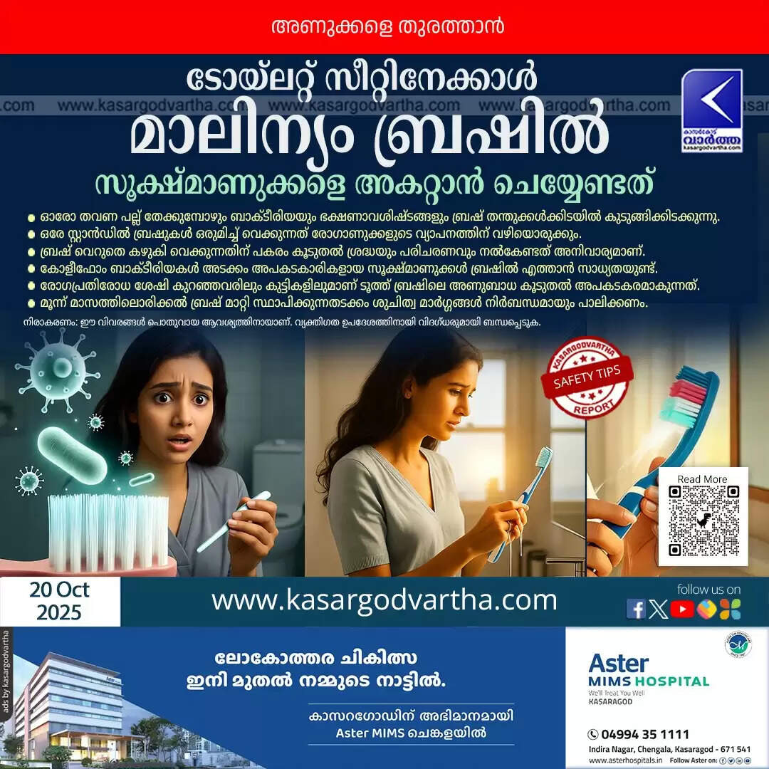 toothbrush germs more than toilet seat hygiene tips