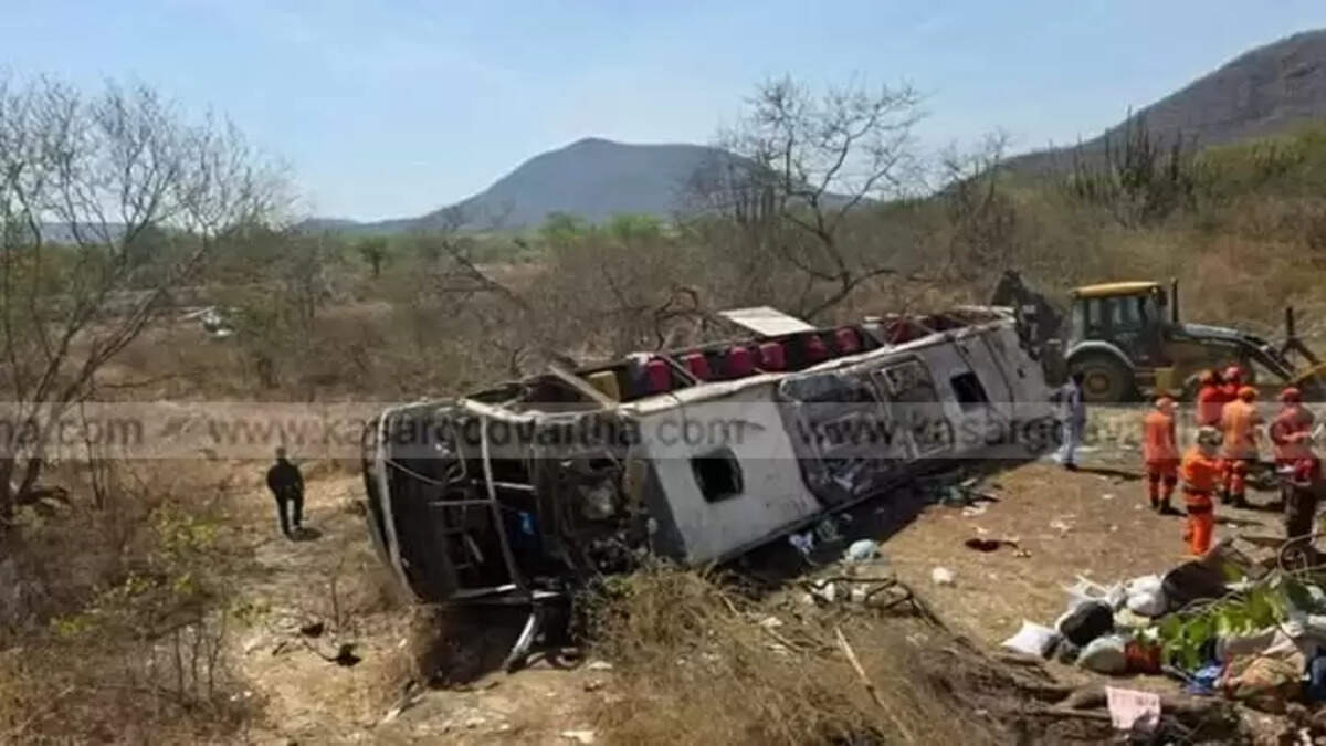 Tragic Bus Accident in Alagoas Brazil Claims 15 Lives Including Three Children During Pilgrimage Return