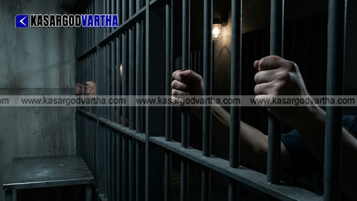 Conceptual image of financial fraud arrest