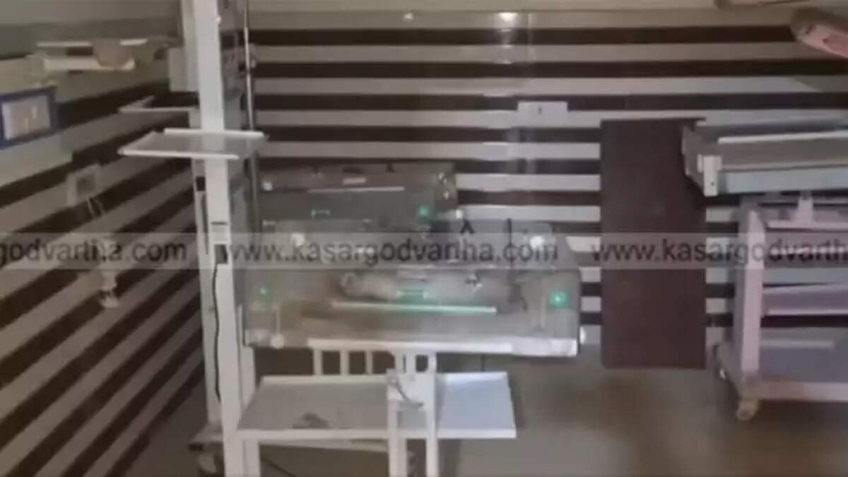 Newborn Dies in Incubator Fire at Kanpur Hospital; Family Alleges Gross Negligence