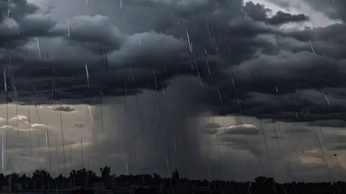Widespread rain expected in Kerala
