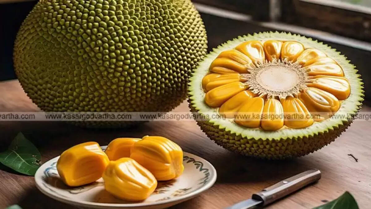 Poster of Uduma Jackfruit Festival in Kasaragod, Kerala.
