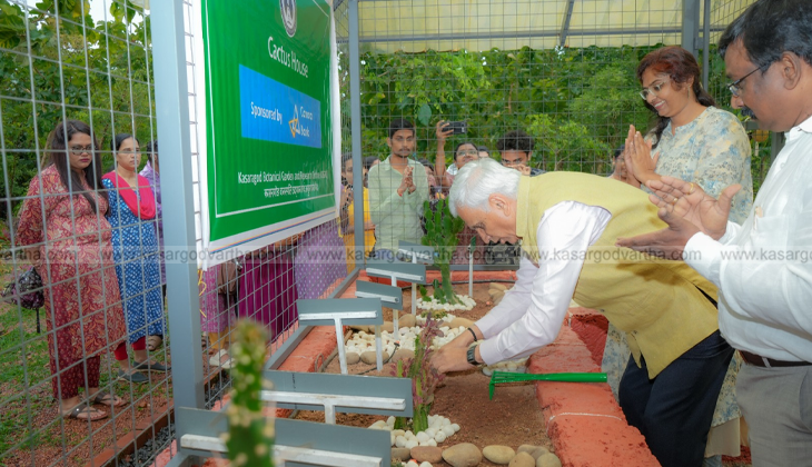 Cactus collection at Central University of Kerala botanical garden.