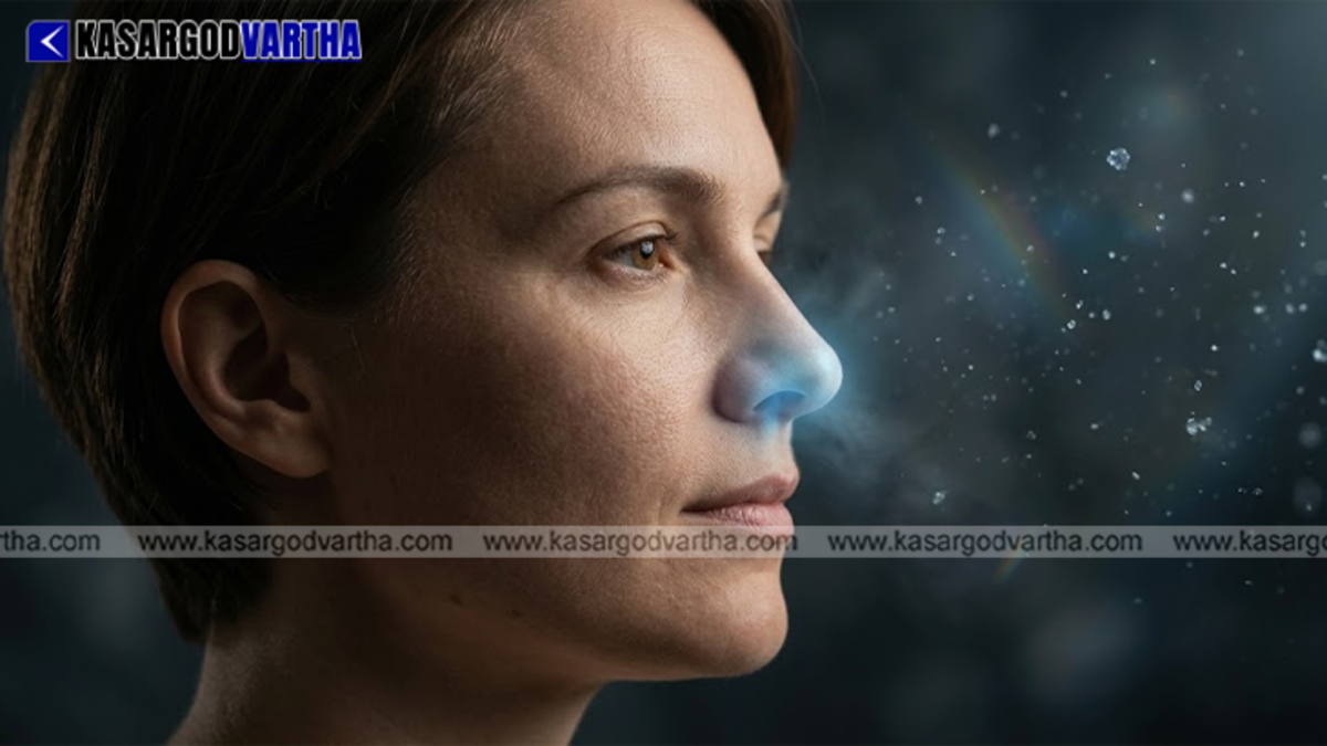 Diagram showing air flow through human nostrils explaining nasal cycle