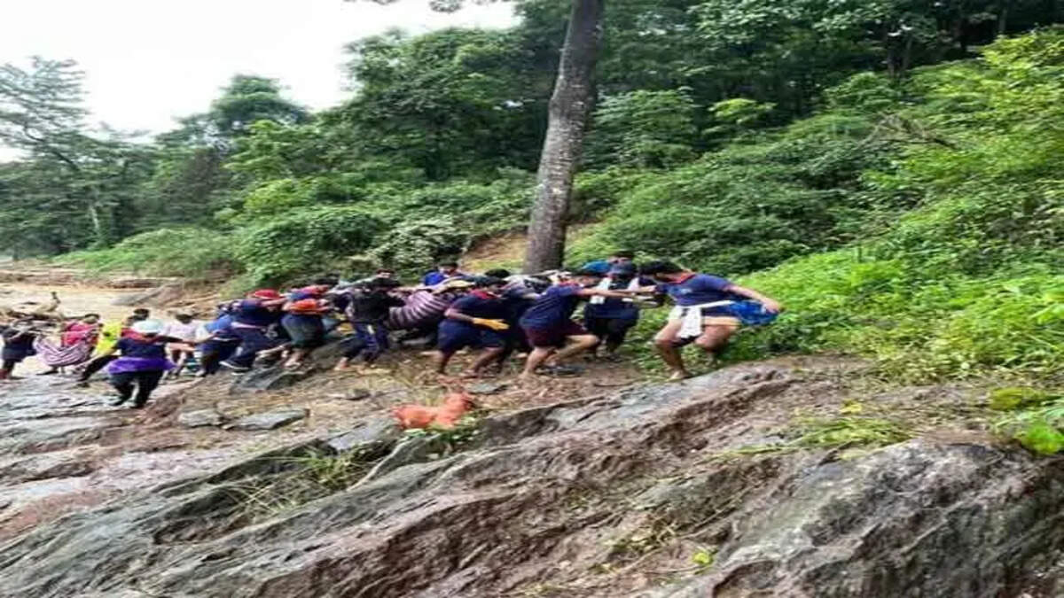 Wayanad landslide, Kerala disaster, search and rescue, missing persons, natural disaster, India news