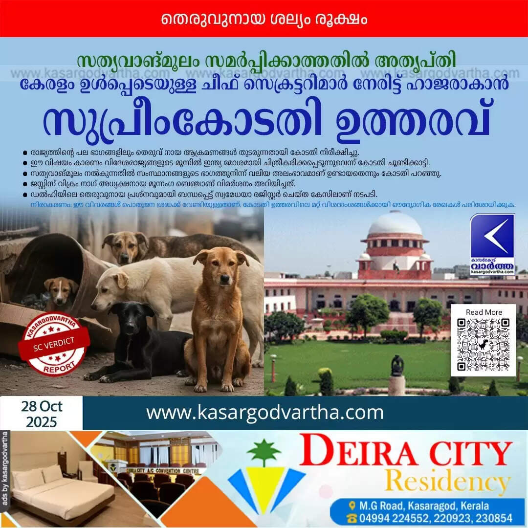 supreme court chief secretaries appear stray dog menace