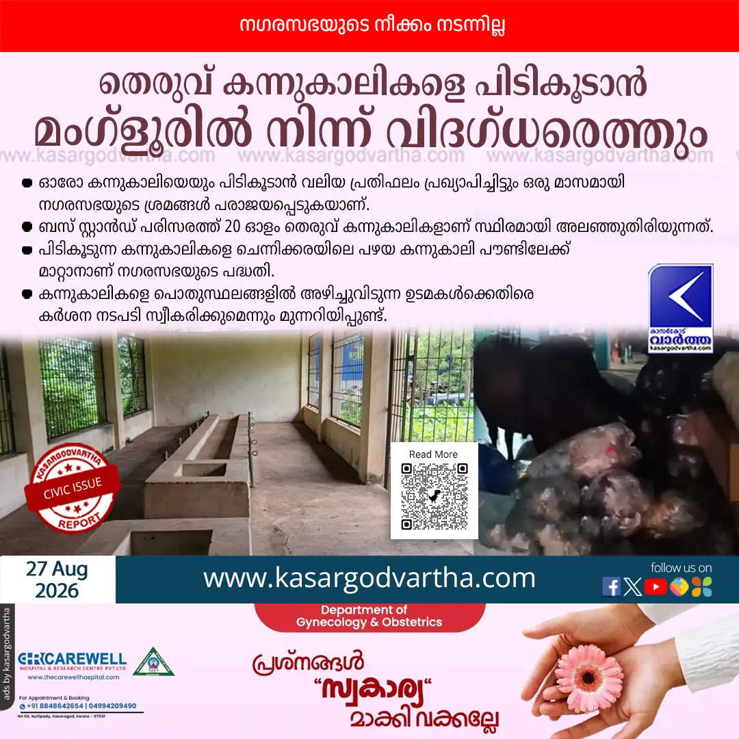 kasaragod municipality mangaluru experts stray cattle