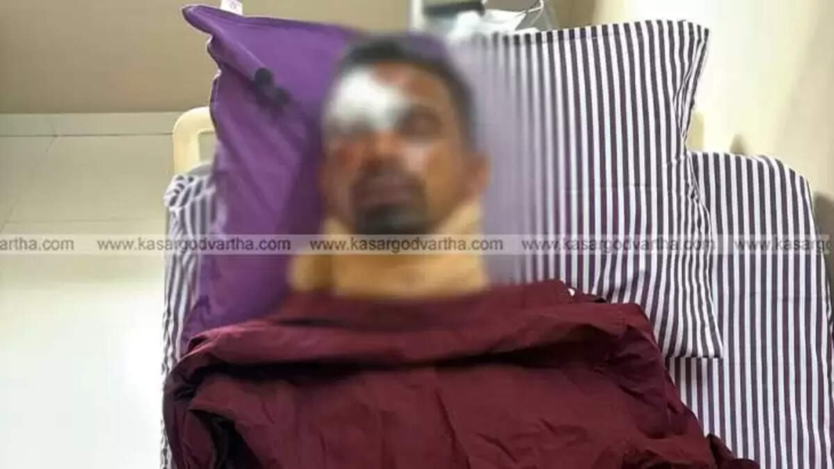 Scooter Rider Seriously Injured and Ribs Broken After Wild Boar Jumps in Front in Vellarikundu