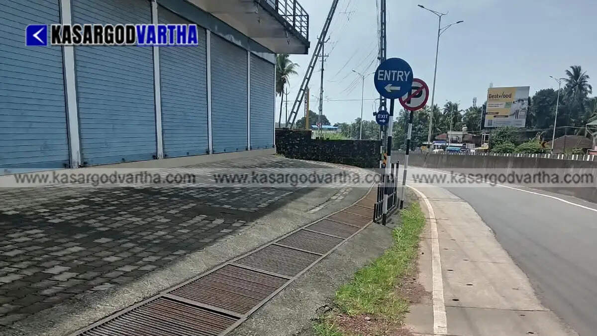 Representational image of overgrown weeds on footpaths along the National Highway in Uppala