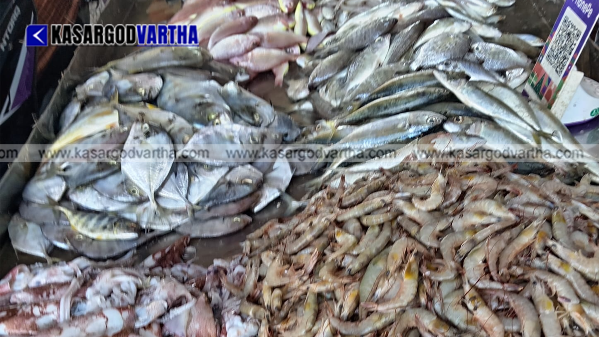  Health authorities inspecting fish for chemical adulteration at a market.