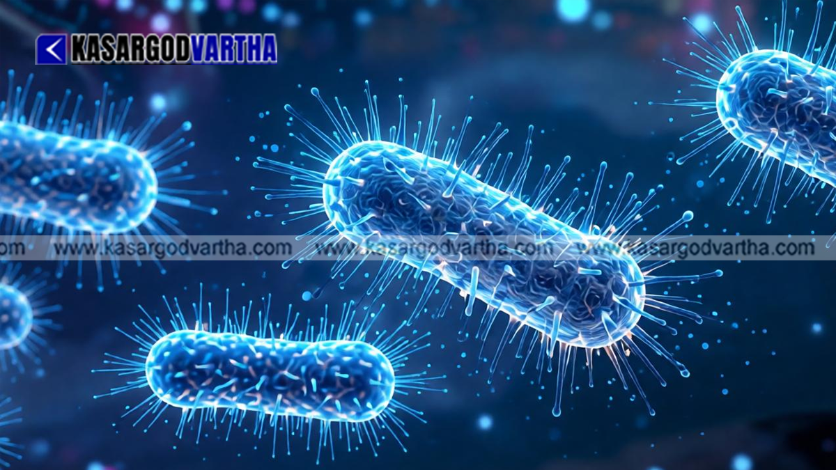 5 Test Positive for Shigella After Food Poisoning in Nileshwaram; Health Department Intensifies Preventive Measures